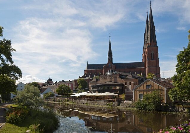Private Day Tour to Uppsala - Uppsala Cathedral, Viking Burials and countryside - Key details to know before booking