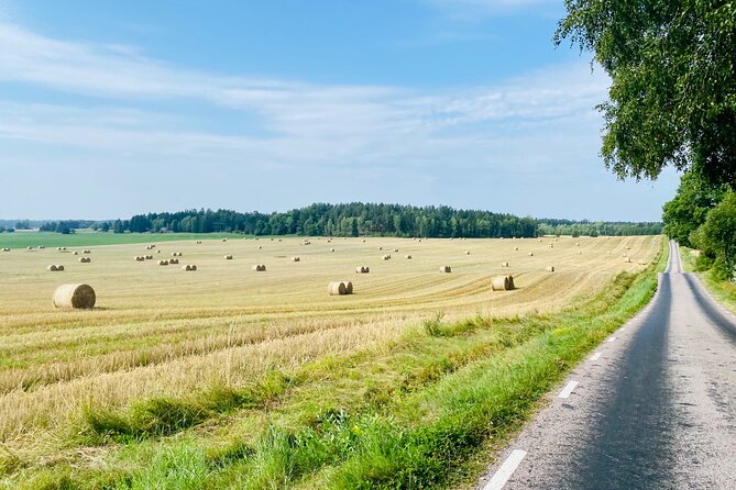 Private Roadbike Adventure in Stockholm - Weather, booking, and the small print