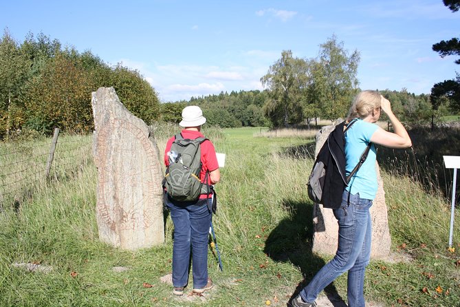 Private Tour: 3h Viking History from Stockholm to Runic Kingdom - Price, timing, and value