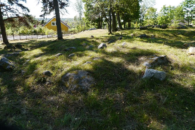 Private Tour: 3h Viking History from Stockholm to Runic Kingdom - What the experience does best