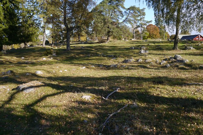 Private Tour: Swedish History Day Trip to World Heritage Candidate Markim-Orkesta from Stockholm - Vallentuna Church and the clues carved in stone