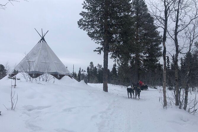 Sit Back and Relax Morning Husky Tour - Is $182.12 a fair price?