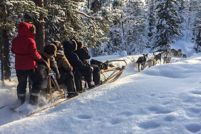 Sit Down Husky Ride Dog Sled Tour in Kiruna - A 12-Husky Ride Through Kiruna’s Winter Woods