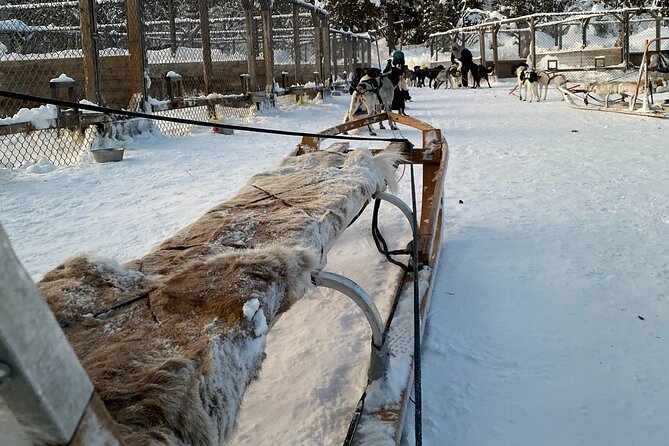 Sit Down Husky Ride Dog Sled Tour in Kiruna - Why the Clothing and Pickup Add Real Value