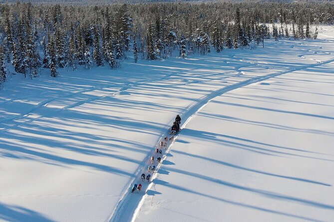 Sit Down Husky Ride Dog Sled Tour in Kiruna - Is $197.99 a Fair Price?