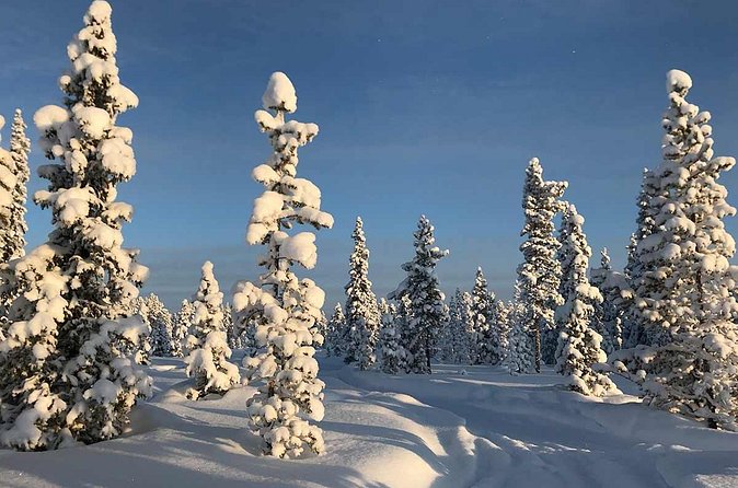 Snowmobile Arctic Adventure - Clothing, comfort, and practical preparation