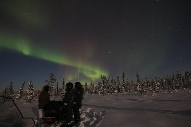 Snowmobile Aurora Expedition with dinner - Price, group size, and practical value