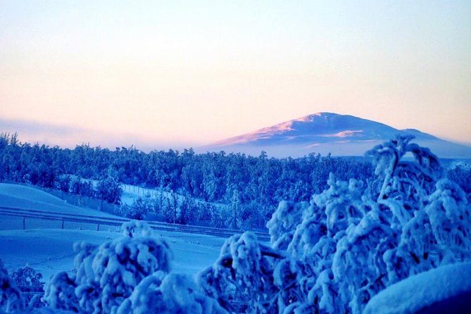 Snowmobile Safari to Lapland viewpoint - Coffee, Swedish fika, and a frozen lake