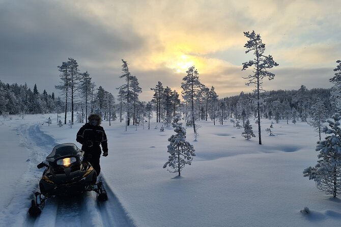 Snowmobile tour - A snowmobile route above Vistträsk