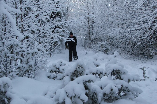 Snowshoe in a Winter Forest - Reading animal tracks instead of chasing wildlife