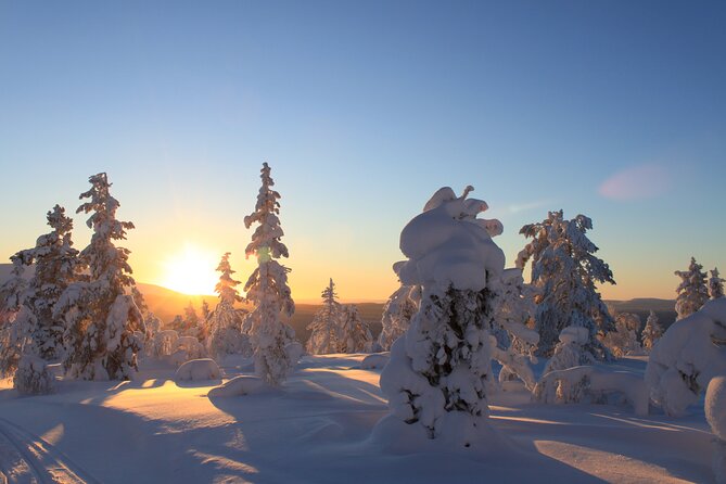 Snowshoe in a Winter Forest - Clothing is your responsibility