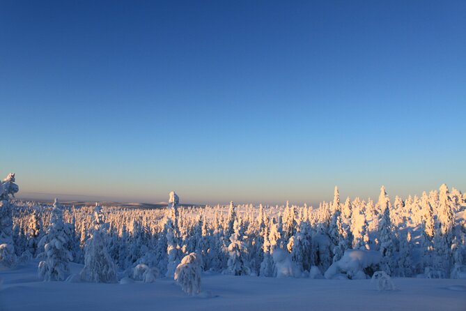 Snowshoe in a Winter Forest - Who will enjoy this snowshoe outing