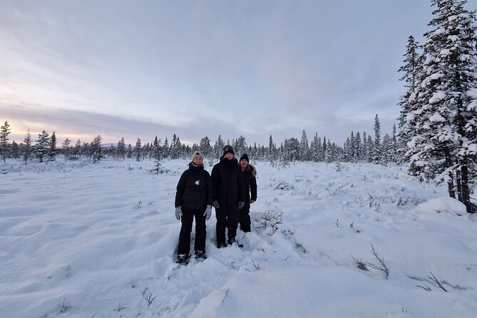 Snowshoe in a Winter Forest - Anders brings local stories to the walk