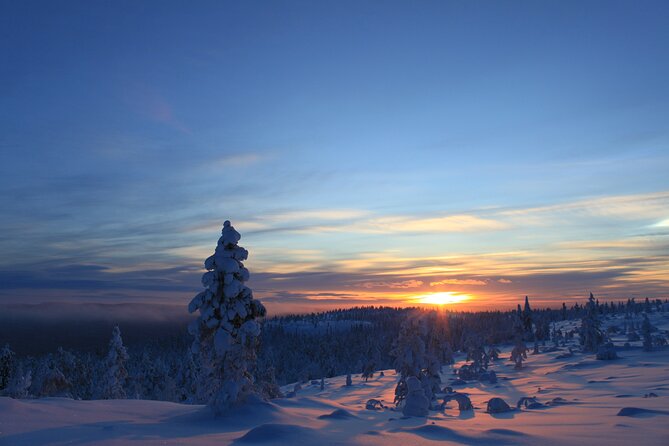 Snowshoe up a Mountain - Key points to know before booking