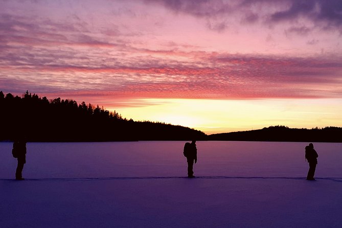 Snowshoe Winter Hike from Stockholm - Leaving Stockholm for the winter woods