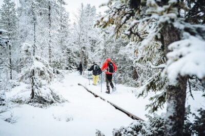 Snowshoe Winter Hike from Stockholm