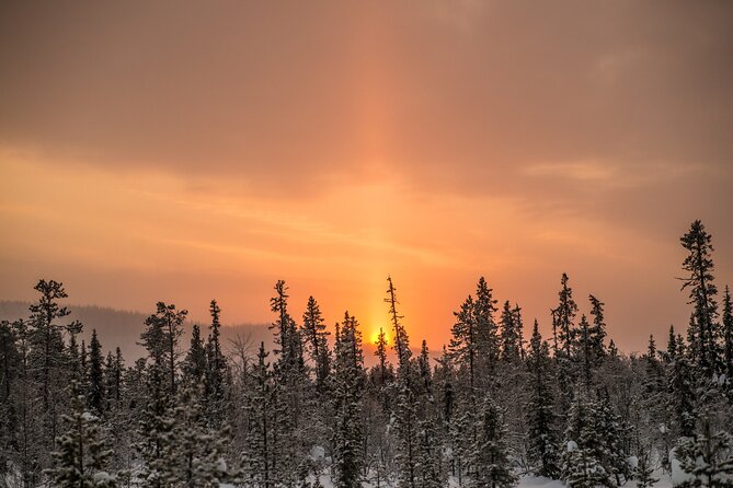 Snowshoe Winter Hike from Stockholm - Weather, clothing, and the snow question