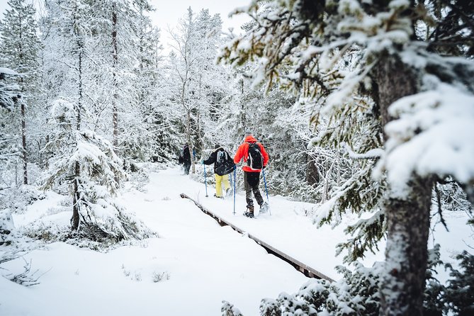 Snowshoe Winter Hike from Stockholm - A steady walk through Swedish nature