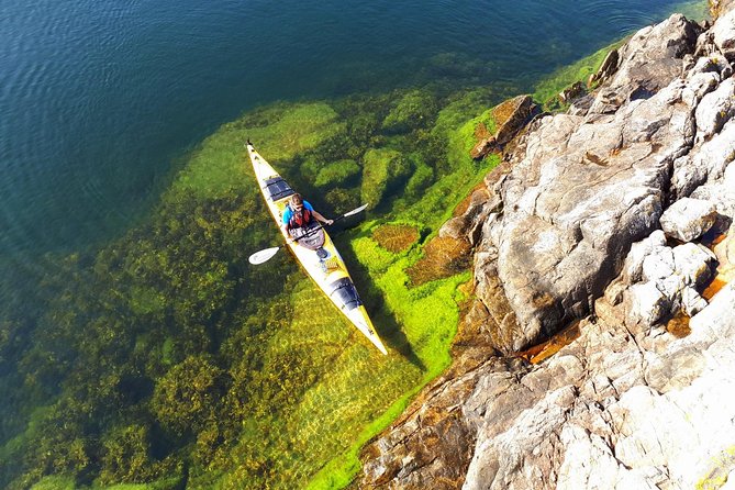 Stockholm Archipelago Kayaking Day Tour - Key points to know before you book