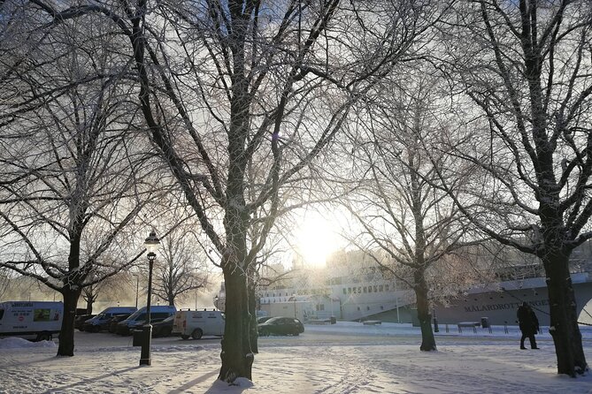 Stockholm Christmas Tour and Food Tasting Experience - Stories along Skeppsbrokajen