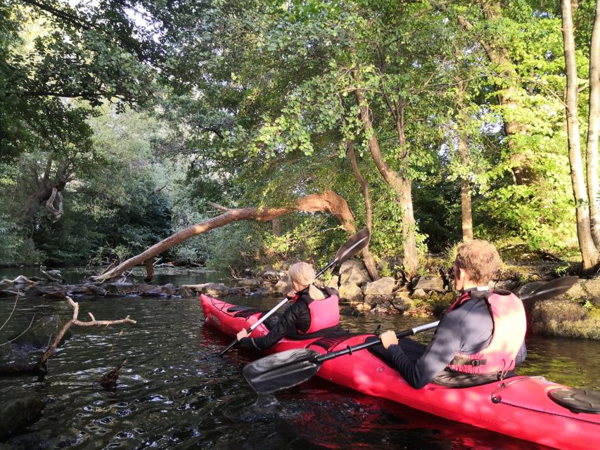 Stockholm Evening Kayak with BBQ. - Should you book the Stockholm Evening Kayak with BBQ?