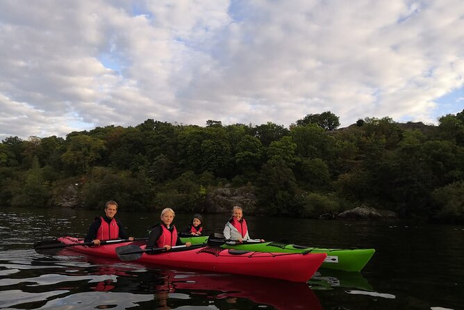 Stockholm Evening Kayak with BBQ - Small Group - What the $143.95 price includes