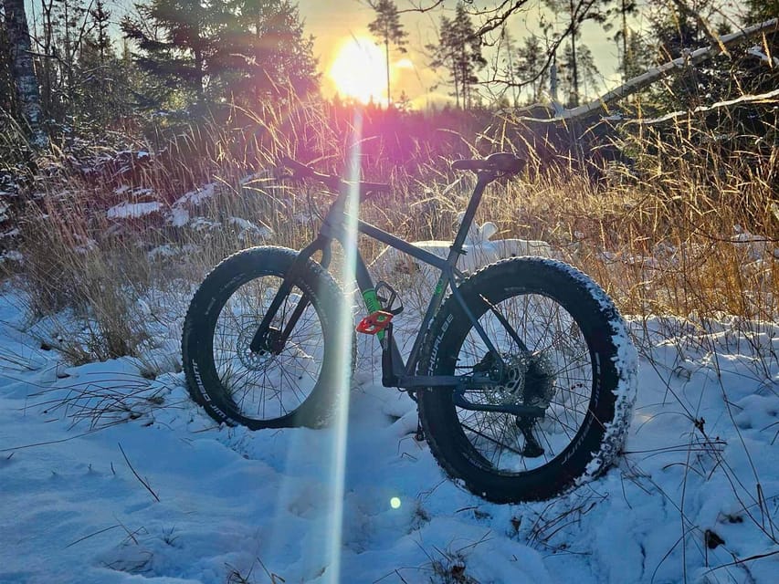 Stockholm: Fat Bike Forest Adventure with Lunch and Sauna - Why this forest ride feels different from a city bike tour