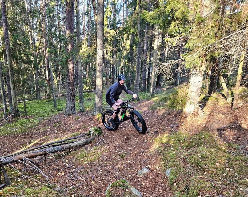 Stockholm: Fat Bike Forest Adventure with Lunch and Sauna - Two to three hours through woods, lakes, and countryside