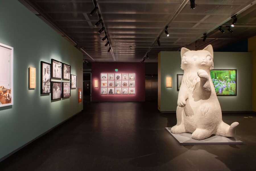 Stockholm: Fotografiska Museum Entrance Ticket - Cancellation, payment, and practical value