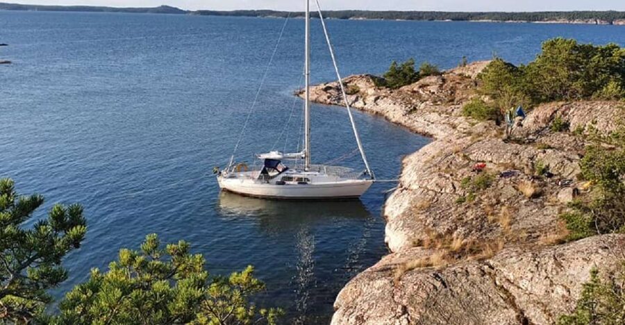 Stockholm: Full Day Archipelago Sailing Tour with Lunch - Wildlife on the Baltic water
