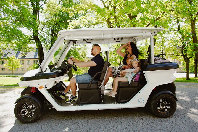 Stockholm Highlights: Private Golf Cart Tour - Rain protection helps, but dress for the ride