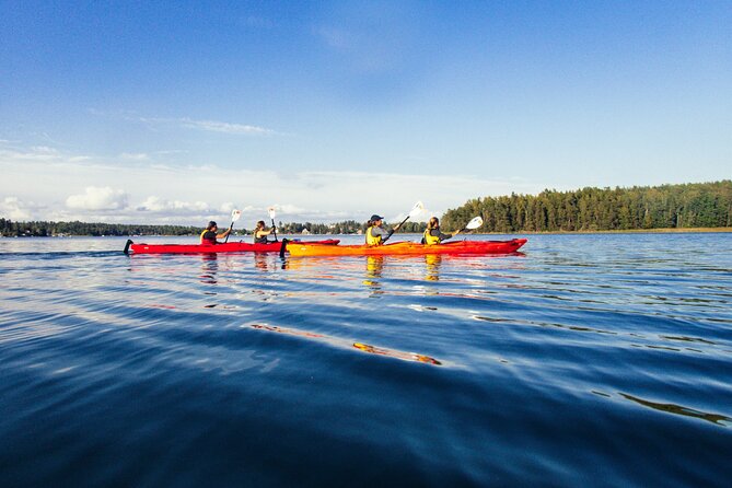 Stockholm: Kayaking tour around Vaxholm Archipelago with Fika - Vaxholm Fortress brings the old defensive story to the water