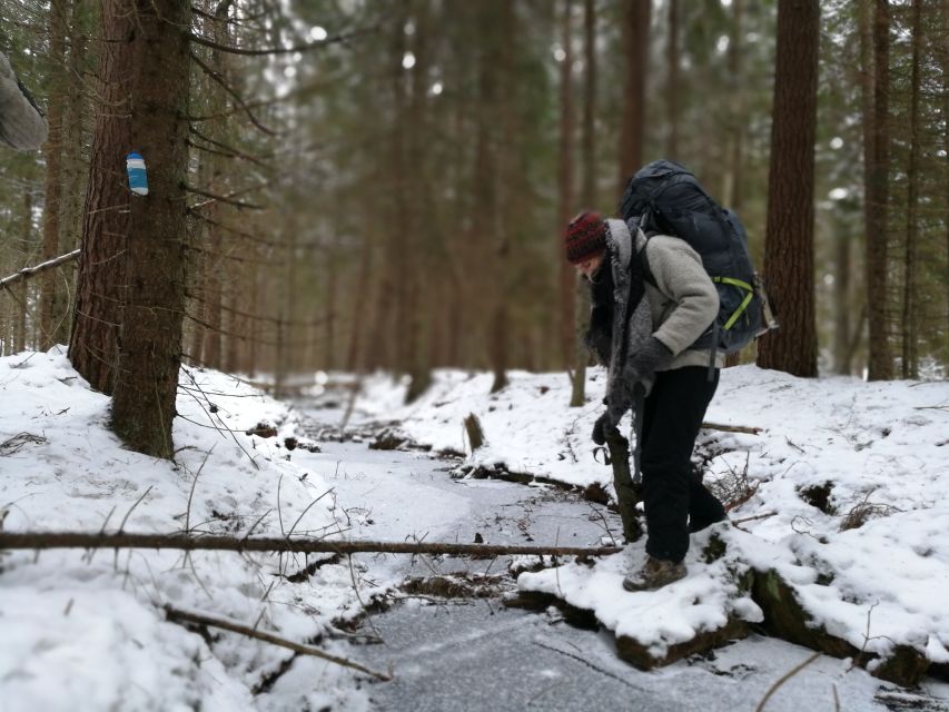 Stockholm: Nature Hike with Campfire Lunch - Leaving Stockholm for the Swedish woods