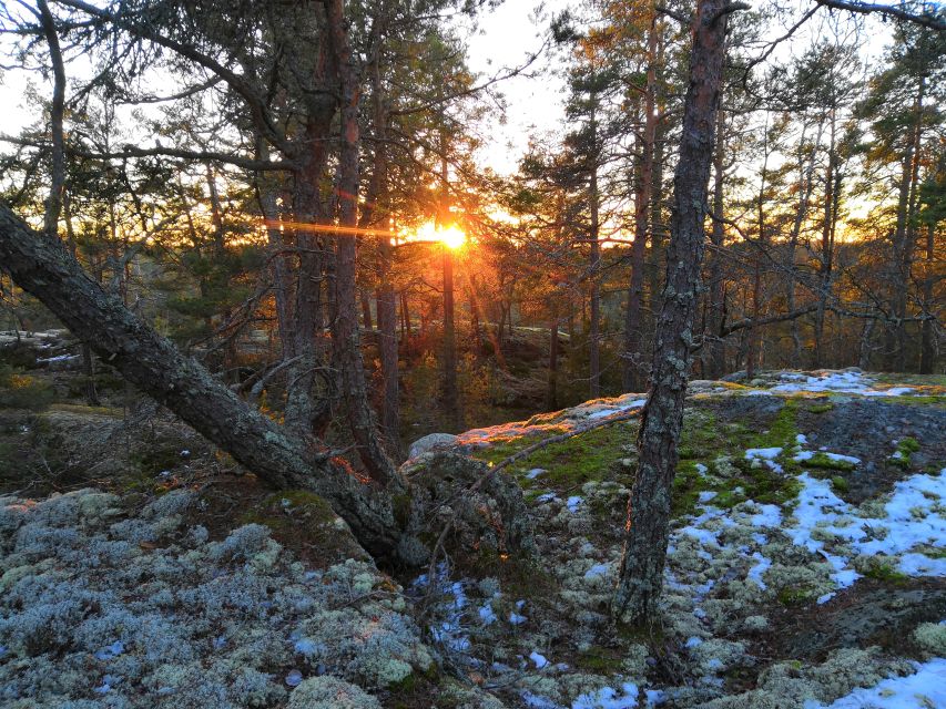 Stockholm: Nature Hike with Campfire Lunch - Is seven hours and $149 a fair deal?
