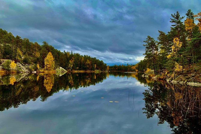 Stockholm: Nature Reserve Hiking Tour with Campfire Lunch - The guides shape the experience