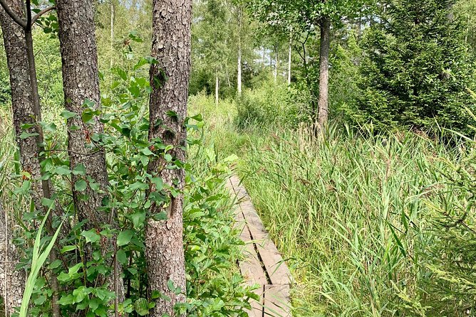 Stockholm: Nature Reserve Hiking Tour with Campfire Lunch - Weather, clothing, and seasonal planning