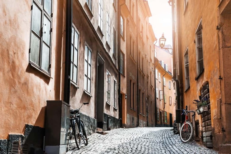 Stockholm: Old Town Historical Walking Tour - A rune stone, the German church, and the busy tourist street