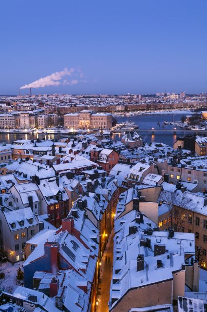 Stockholm: Old Town Historical Walking Tour - Timing, language, and the right kind of pace