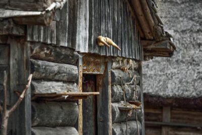 Stockholm Pass: Save up to 50% – Includes Vasa Museum Ticket