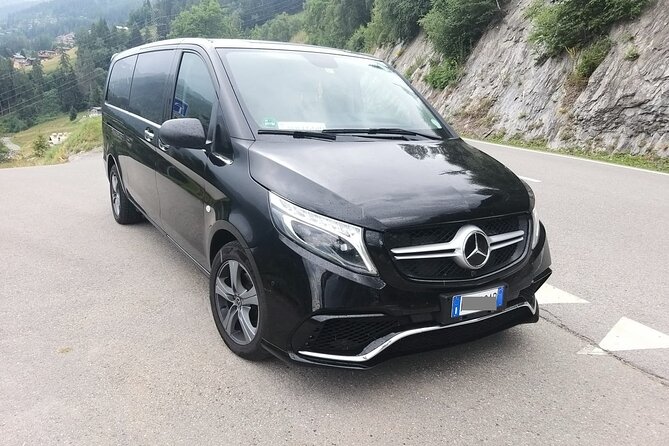 Stockholm Port to Stockholm hotels - Arrival Private Transfer - What the strongest service details tell you