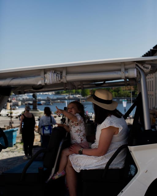 Stockholm Private Golf Cart Tours - Djurgården’s museums, shipyard, and old homes