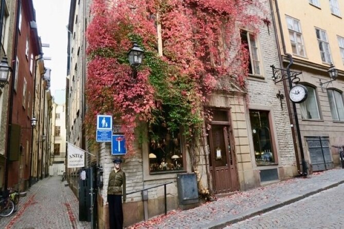 Stockholm Private Group Walking Tour | 3 Hours - The walking demands and Stockholm weather