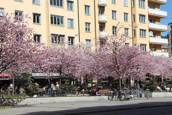 Stockholm Private Tour with a Local: Hip & Bohemian Sodermalm 3hr - Galleries, Vintage Stores, and Small Shops