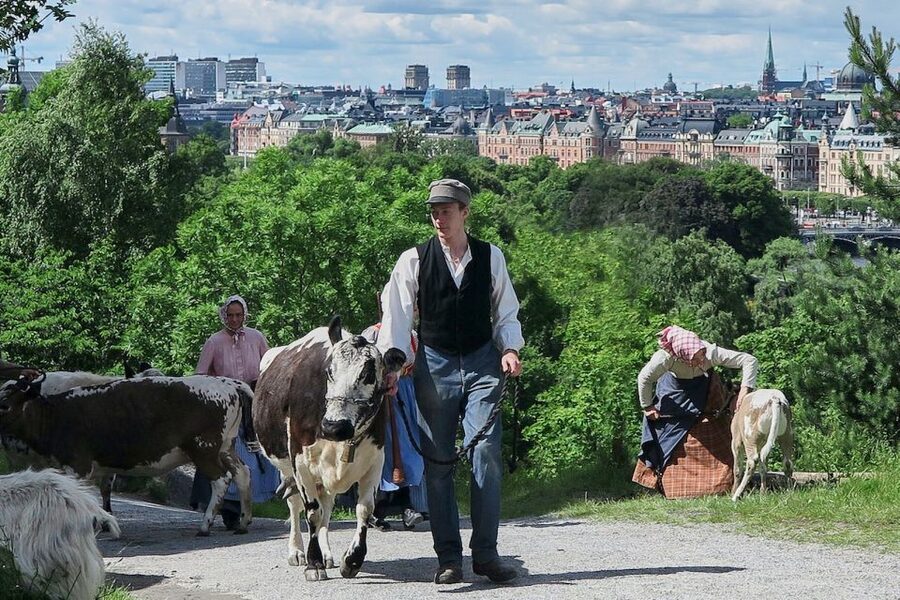 Stockholm: Skansen Open-Air Museum Admission Ticket - Why Skansen is more than an old-building museum