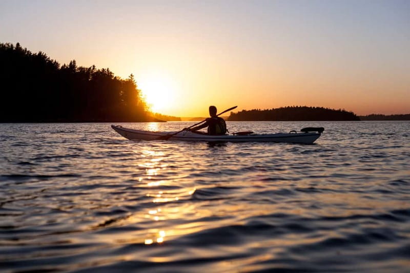 Stockholm: Sunset Archipelago Kayaking & Toast on the Water - Swedish fika beside a beaver den