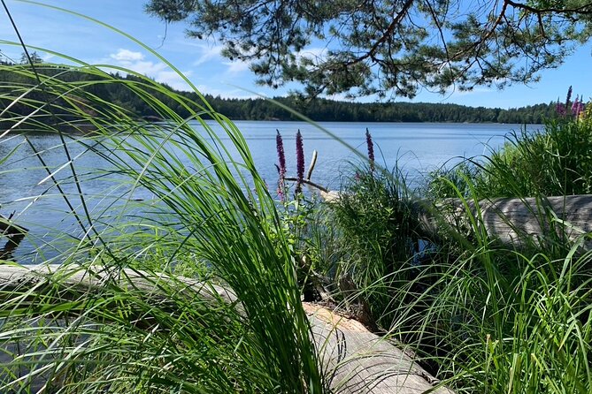 Stockholm: Sunset Hike in Tyresta National Park with Meal - Leaving Stockholm by Local Bus