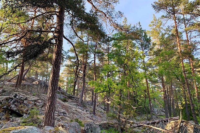 Stockholm: Sunset Hike in Tyresta National Park with Meal - Weather, Seasons, and What to Pack