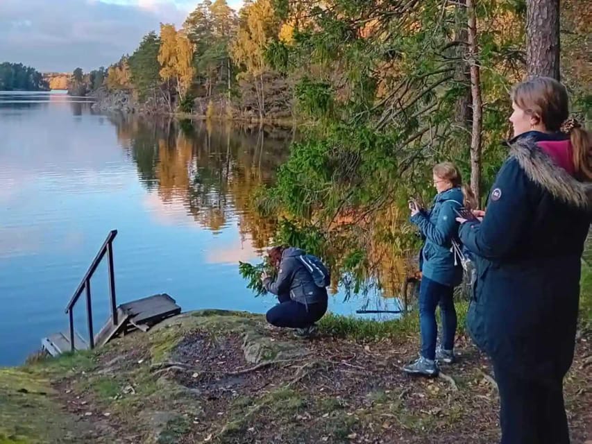 Stockholm: Sunset Hike in Tyresta National Park with Meal - The final 1.5 hours: forest sounds after sunset