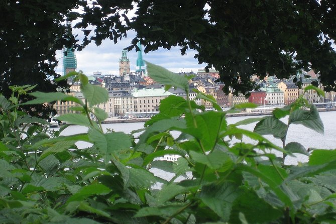 Stockholm Top attractions all-inclusive Gran Tour - Drottningholm Palace and gardens beyond the city center