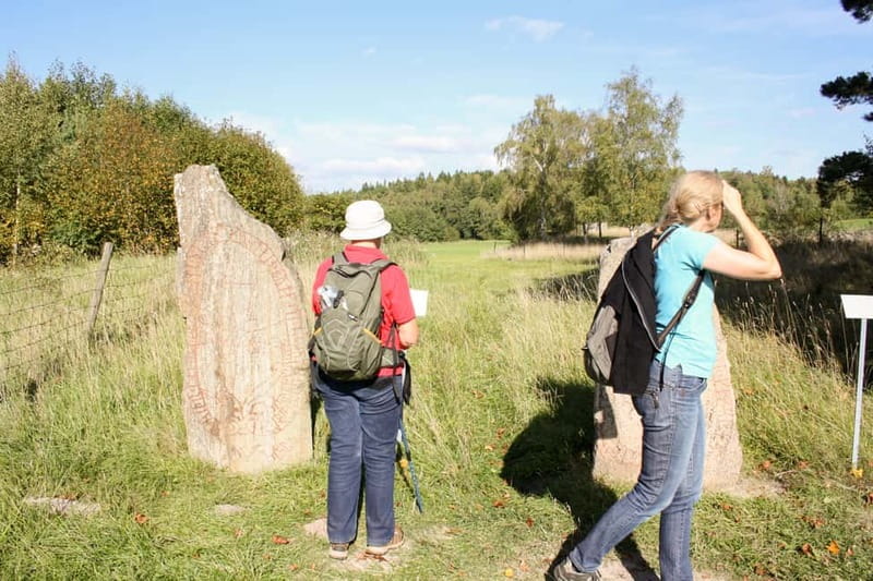 Stockholm Viking History Full Day Tour to Sigtuna + Uppsala - Key points to know before you book